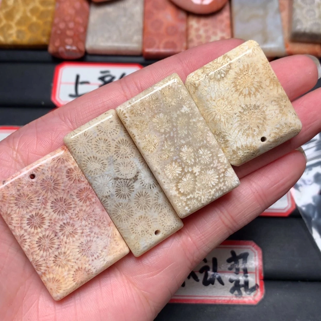 【闪购商品】硅化玉颈饰未镶嵌-**A
