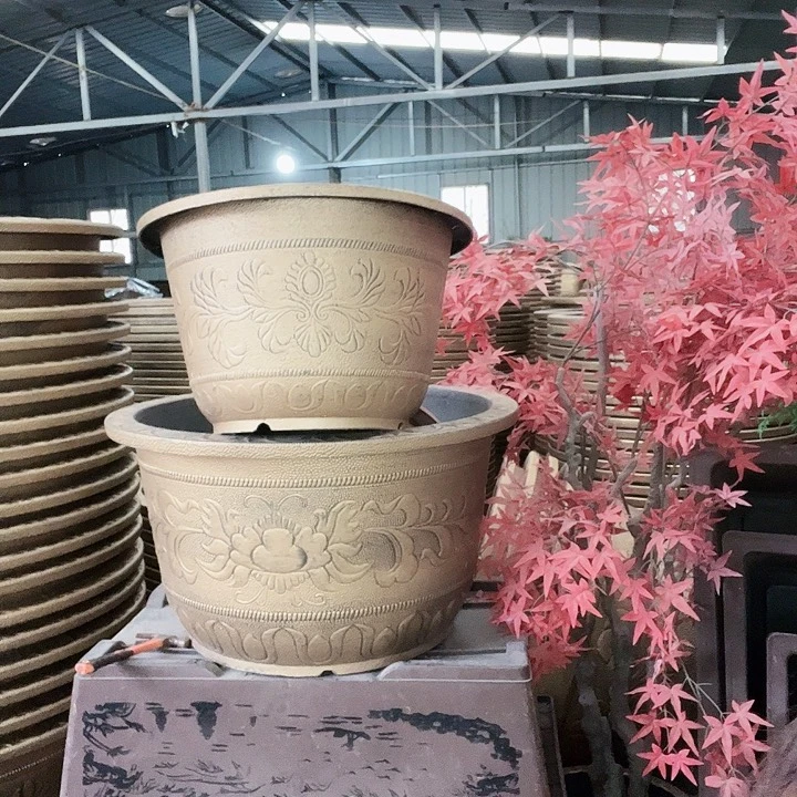 圆60四个有孔金色的