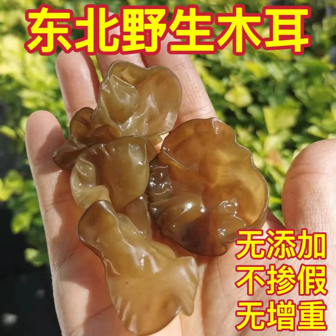 纯东北野生山木耳