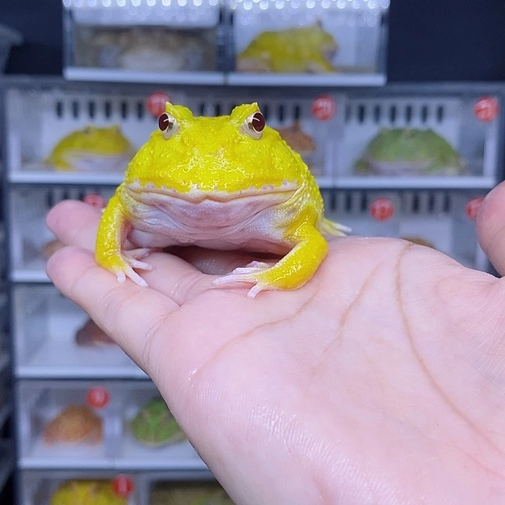 特价秒杀现货特价