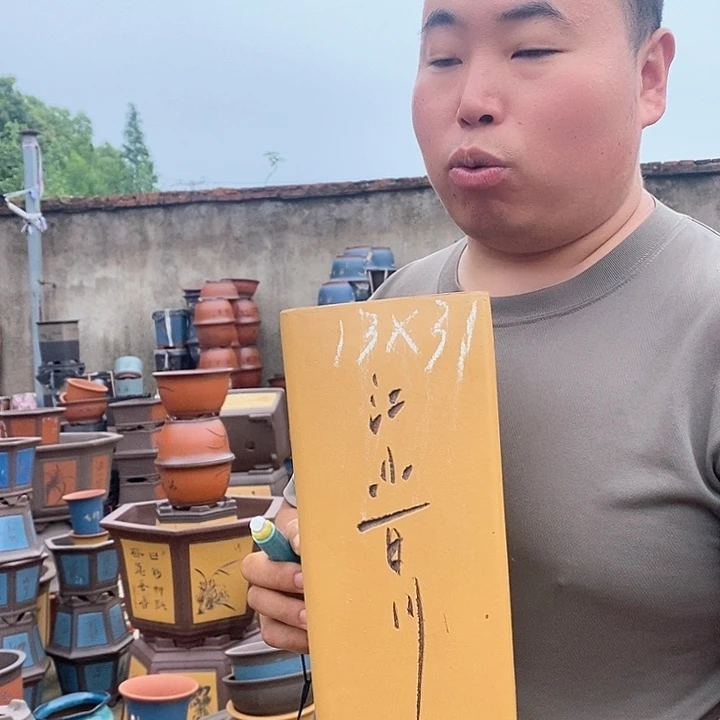 紫砂花盆盆栽植物
