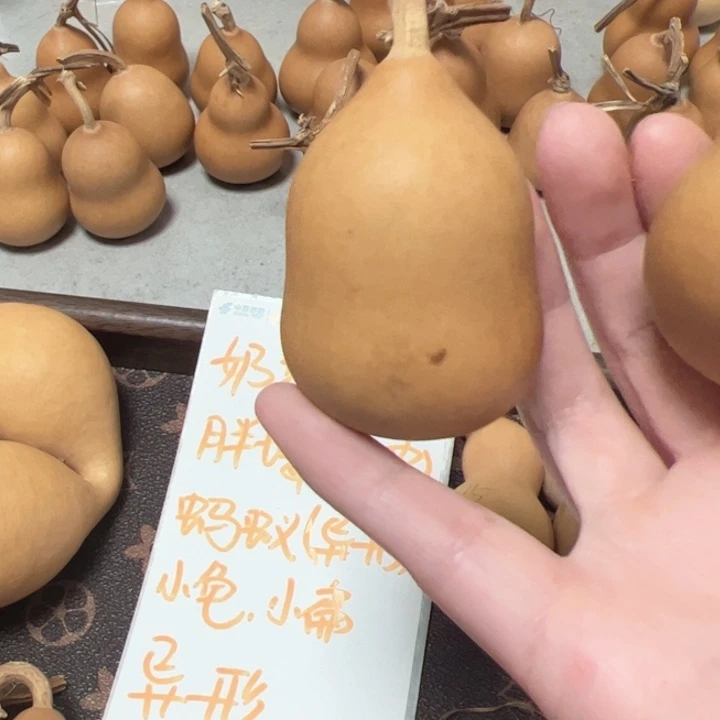 素***颜葫芦葫芦葫芦葫芦