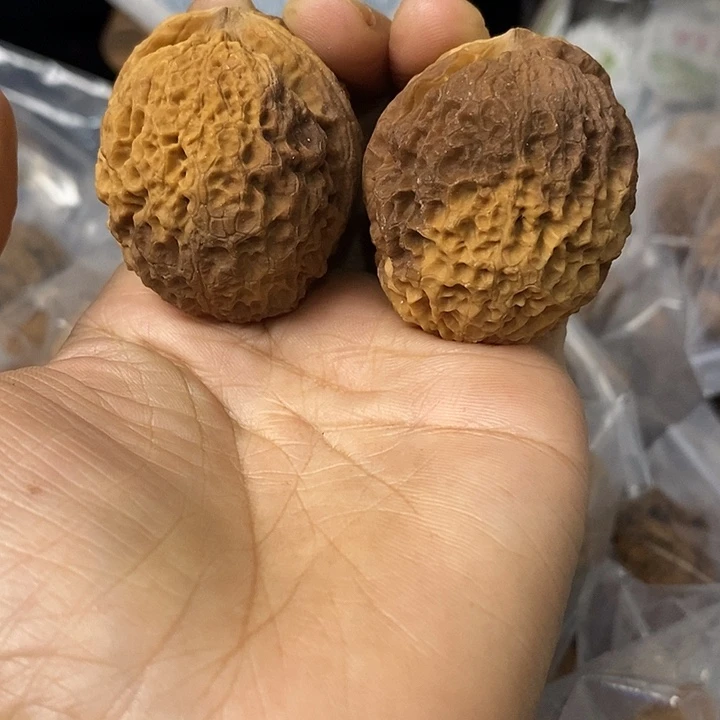 核桃云南铁核桃基地59