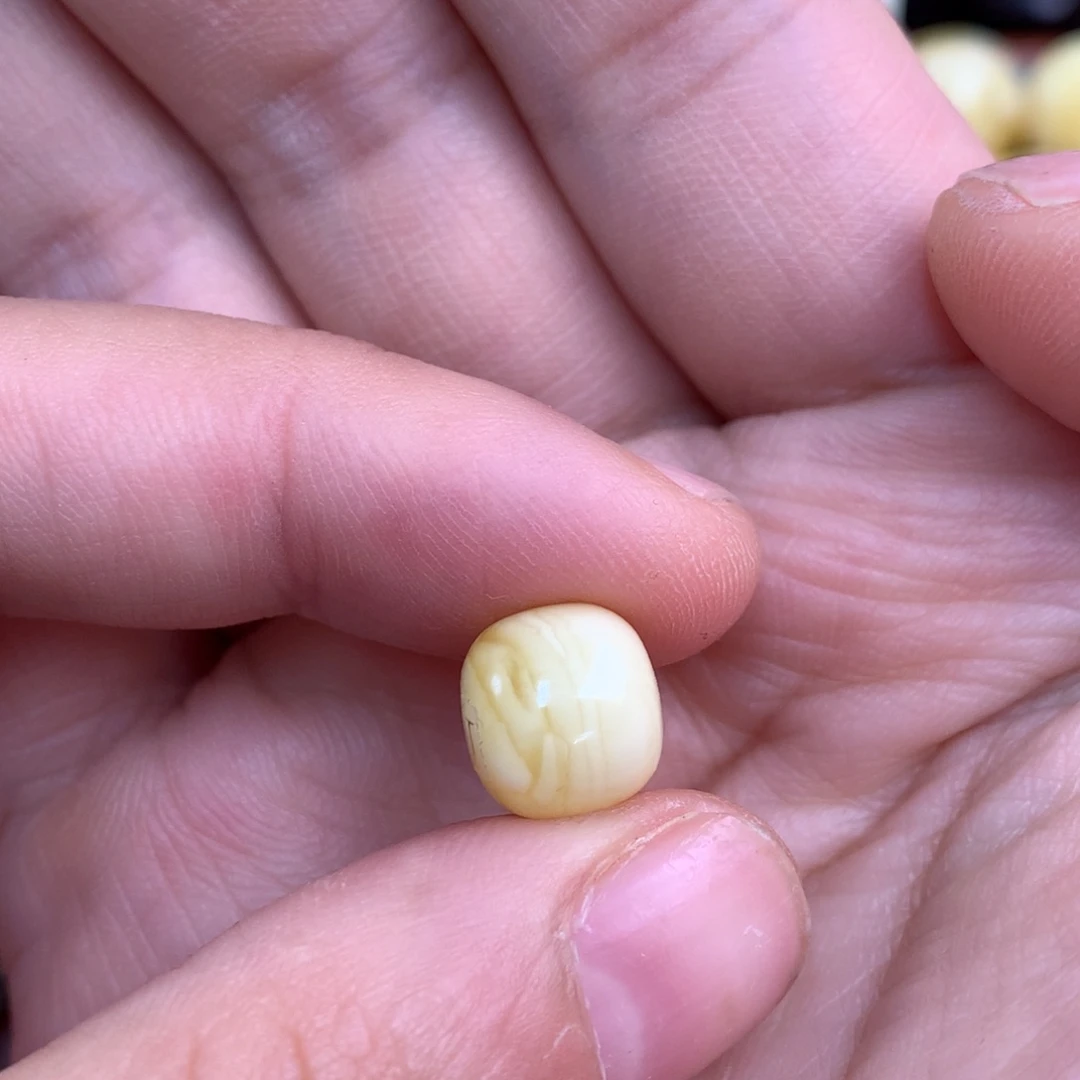 琥珀未镶嵌裸石蜜蜡10