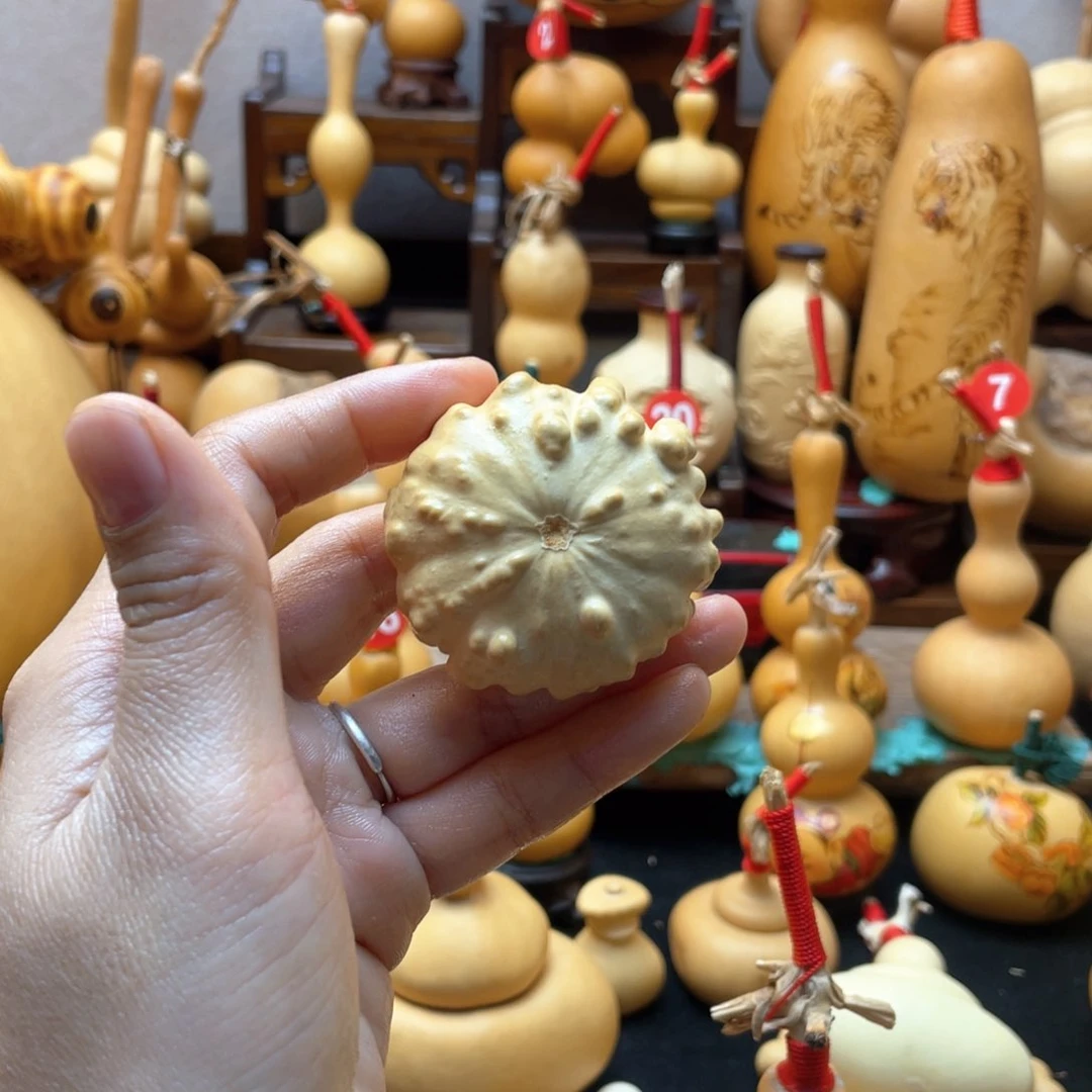 忆****～大自然的秘密第十一节你是