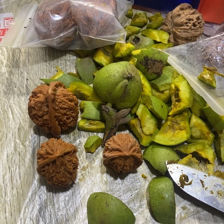 文玩核桃把件福利
