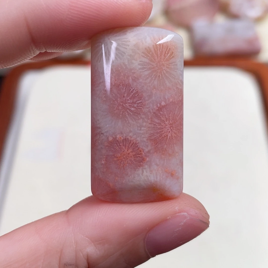 【闪购商品】未镶嵌吊坠(赠链)硅化玉顾****?