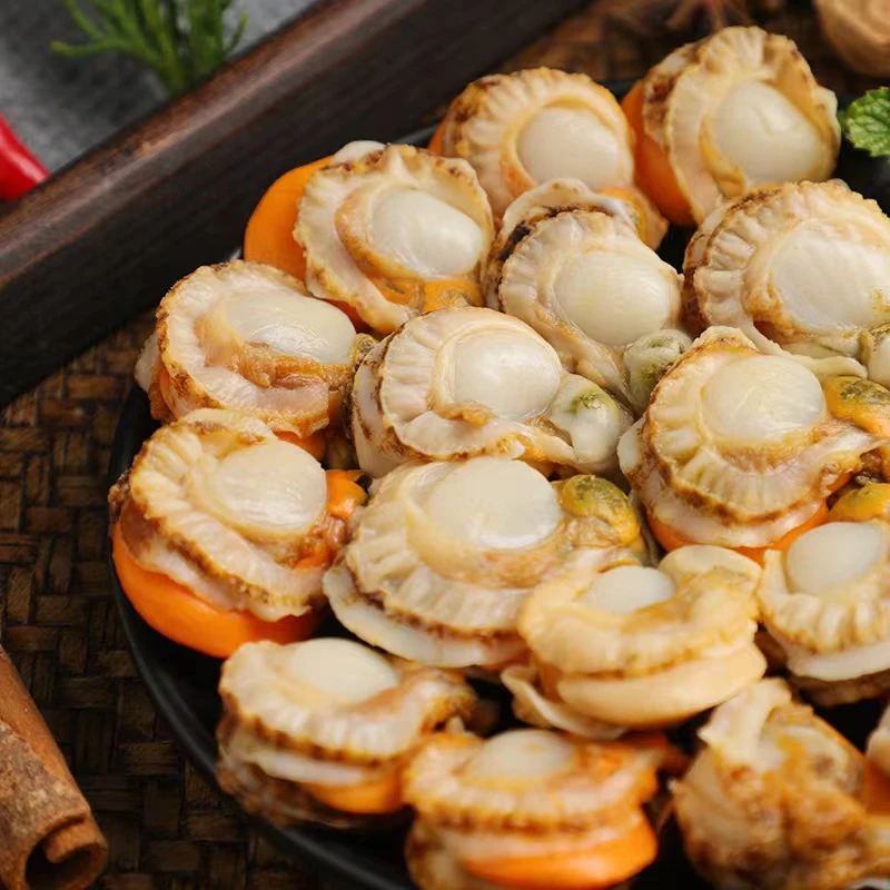 大号3斤净重扇贝肉北城红贝开海新货新鲜海捕扇贝肉