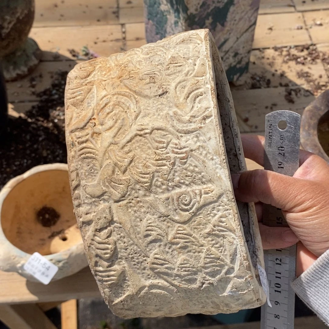 红陶往**烟55号多肉盆一个呀