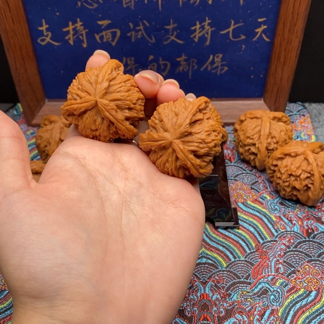 【闪购商品】淼*白狮