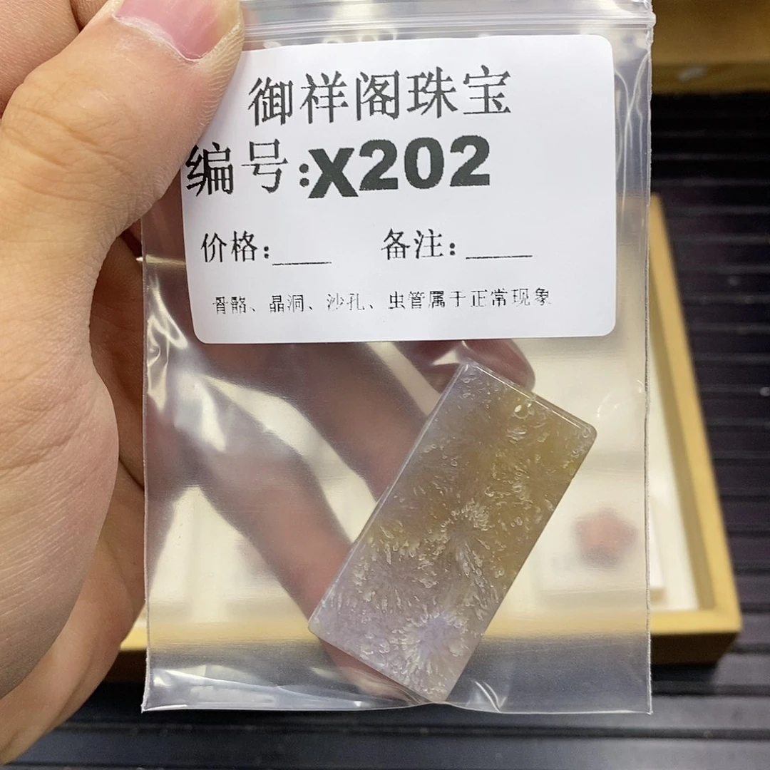 硅化珊瑚（珊瑚玉）未镶嵌颈饰浮*