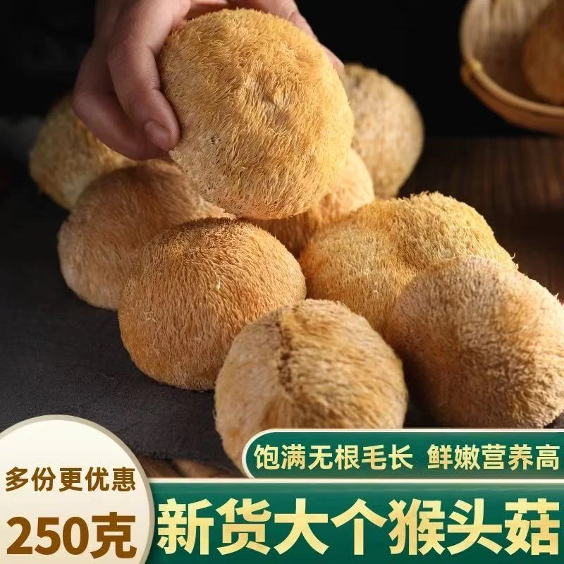 长白山大个猴头菇猴头菇干货菌菇