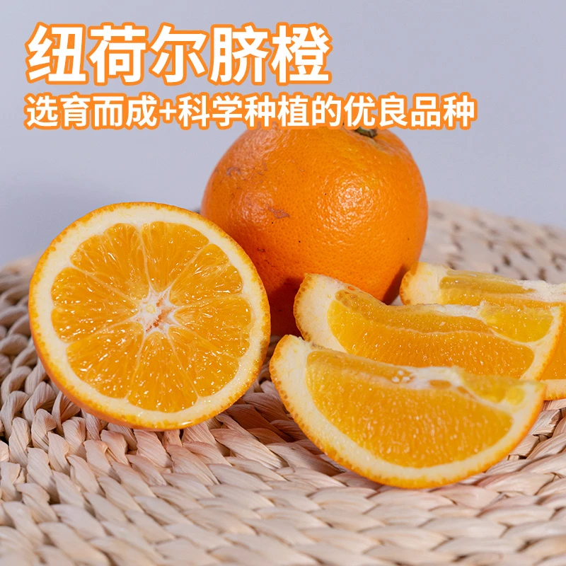 【京东快递上门】纽荷尔脐橙产地直发新鲜采摘树熟 不打蜡 不催熟