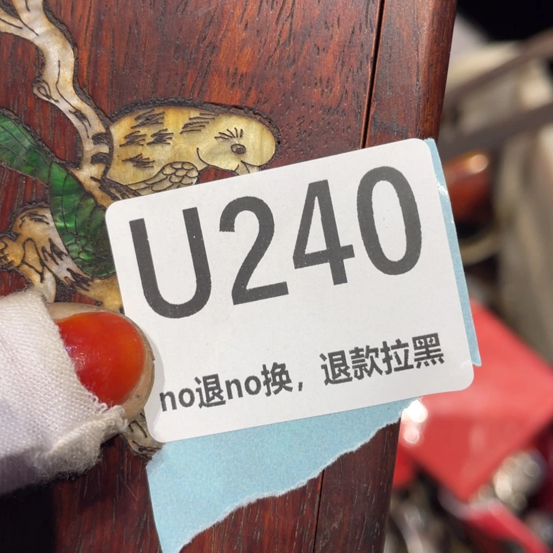 瓷片一**泊直播链接火爆热卖