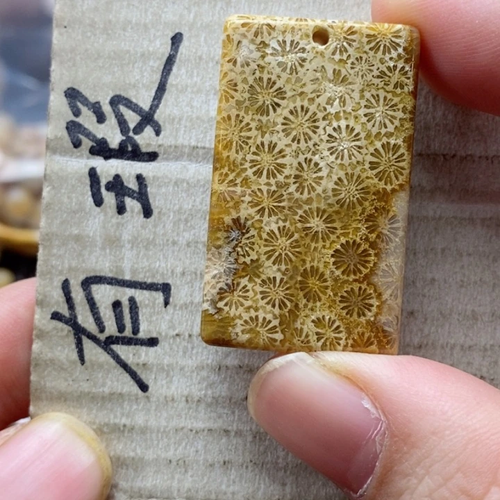 硅化珊瑚（珊瑚玉）颈饰未镶嵌