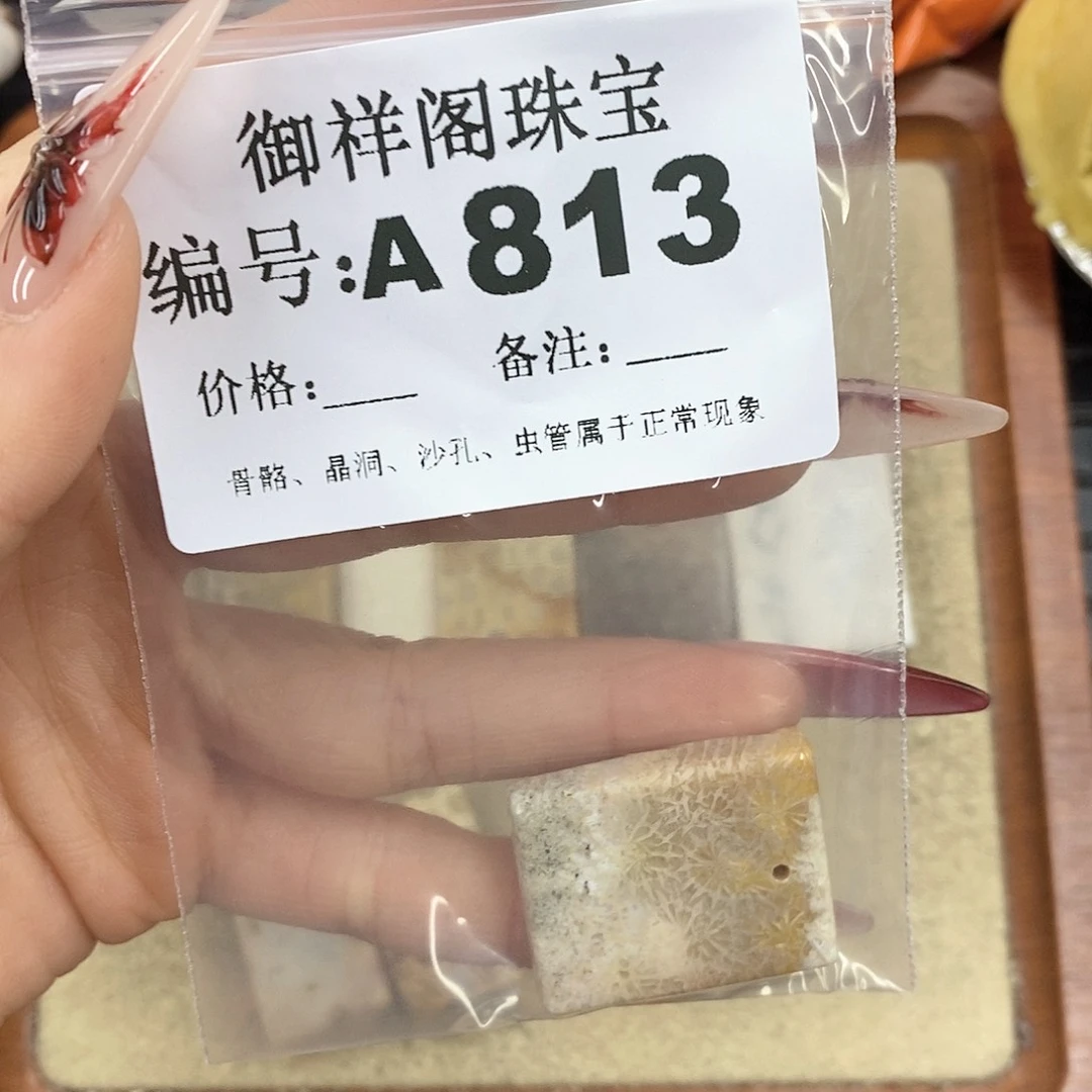 硅化珊瑚（珊瑚玉）颈饰未镶嵌闪****?