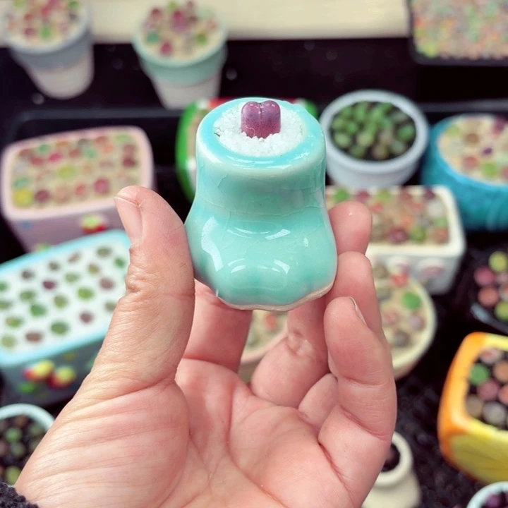 577零下地区记得拍保温箱满18包邮