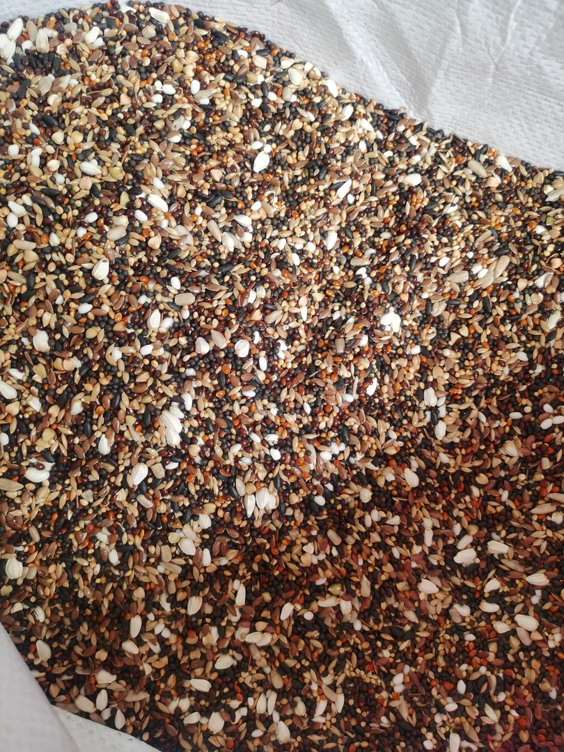 虎皮文鸟玉鸟等小型鹦鹉适用的五色黍子混合带壳黄谷子鸟食饲料