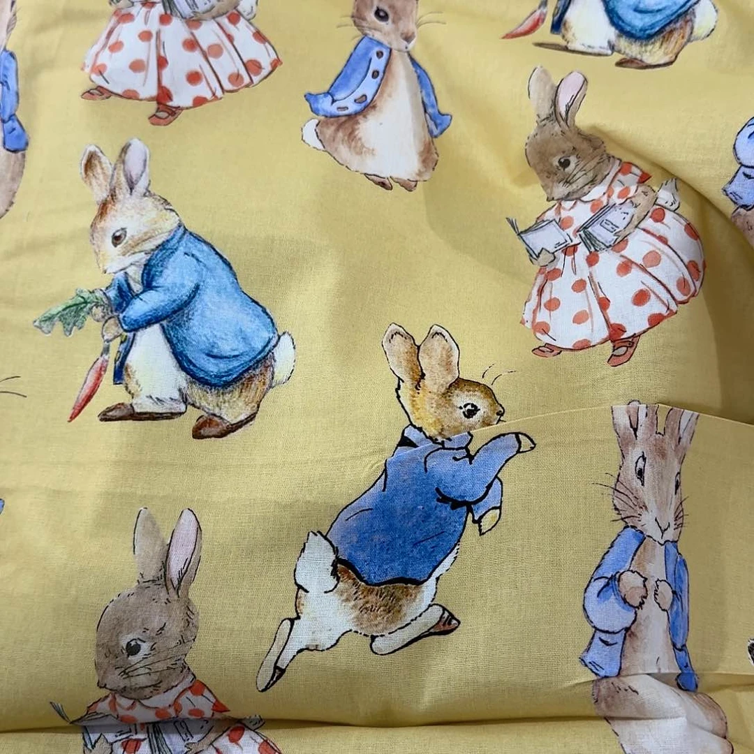 天****星纯棉平布1.5米长X1.1米宽6区