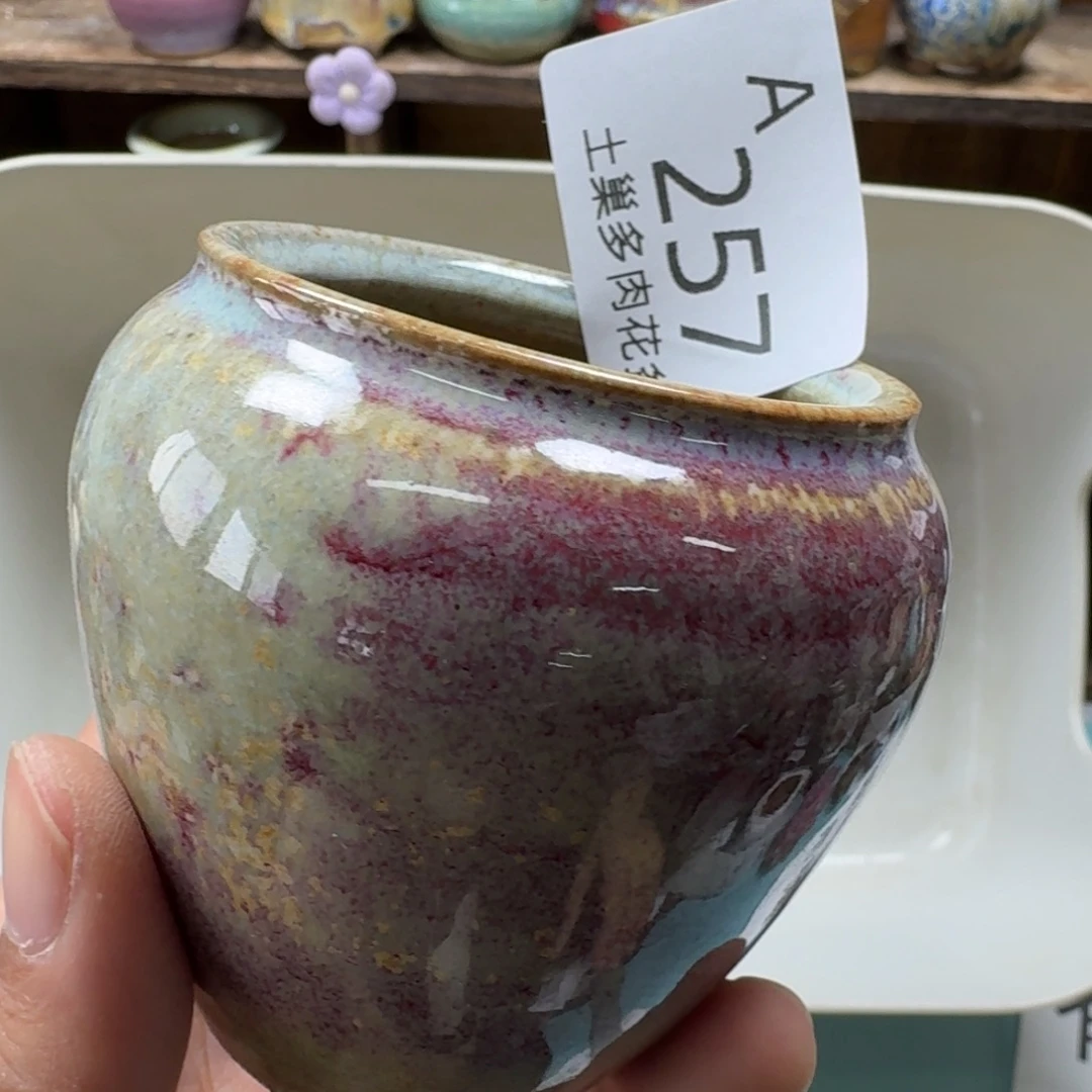 蕾***i陶瓷艺术品设计与制作