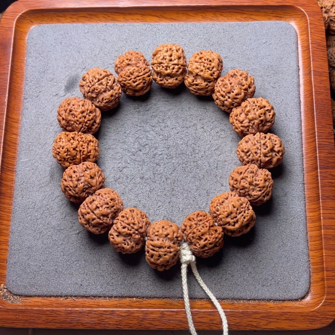 菩提33号金刚菩提梅花蜂窝豆腐块23.5/24