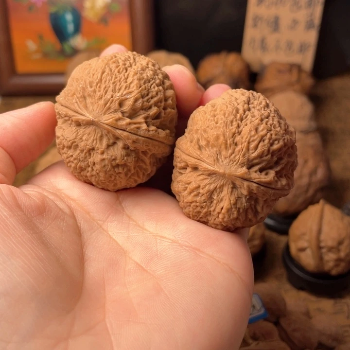 海***子云南野生铁核桃编号53