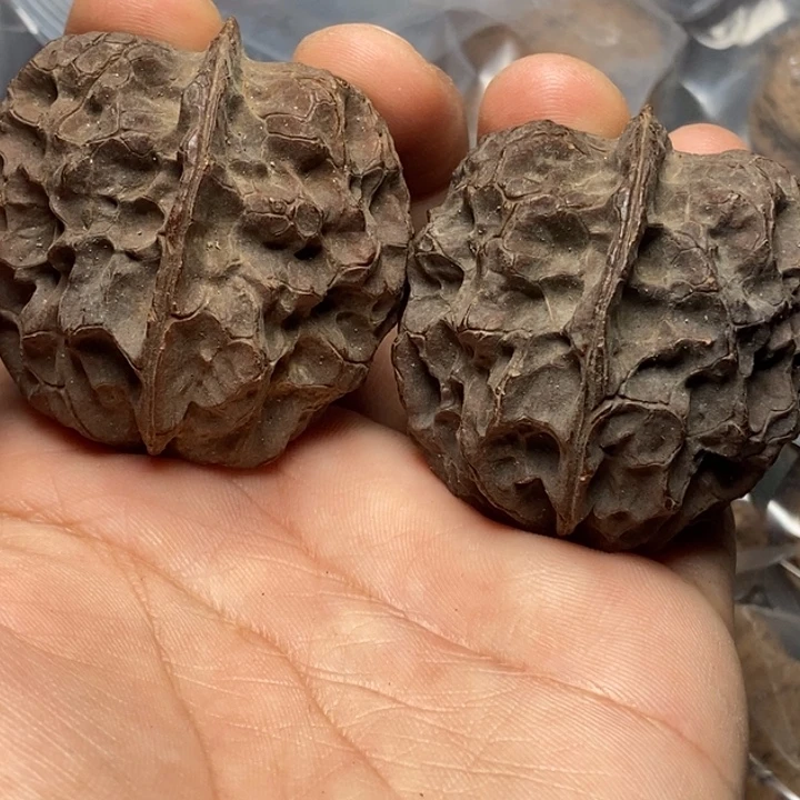 把件文玩核桃   170