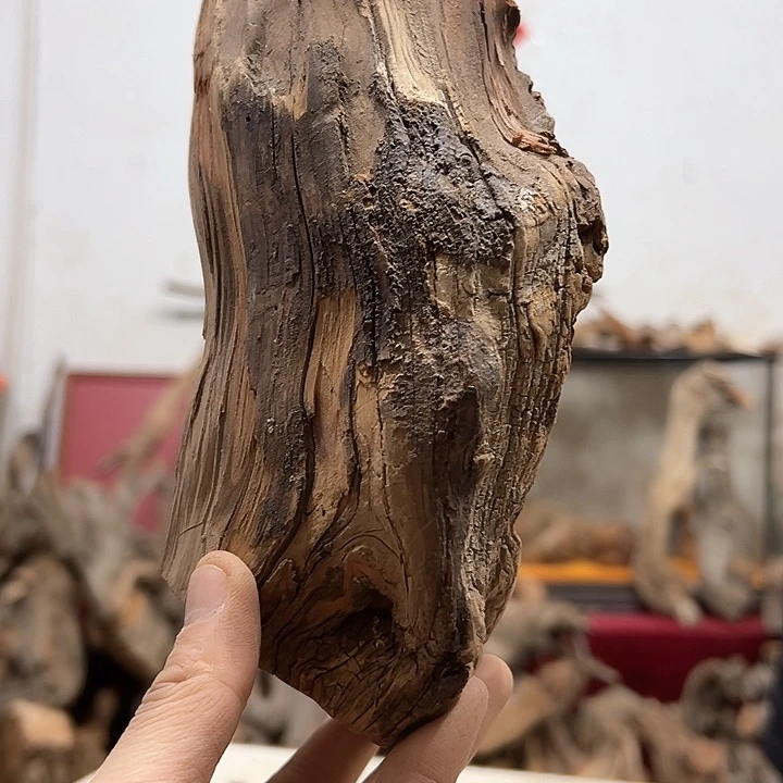 柏木港****务我们都是好孩子呀我