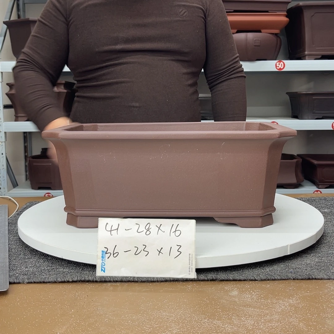 紫砂花盆早早的睡