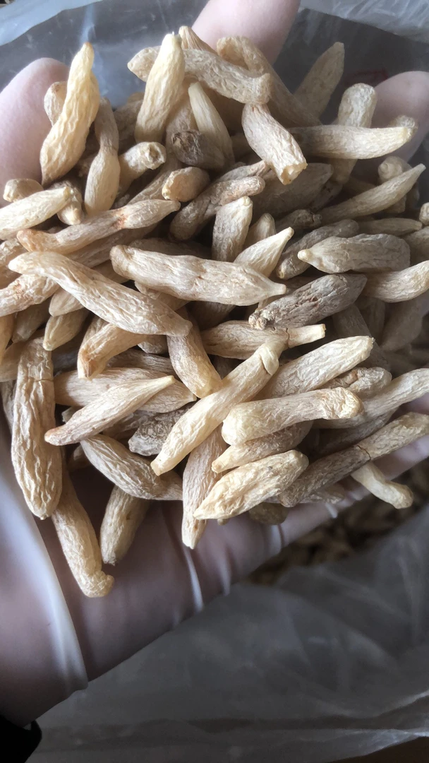 【妹仔推荐】四川麦冬  搭配莲子百合沙参玉竹 煲汤煮水