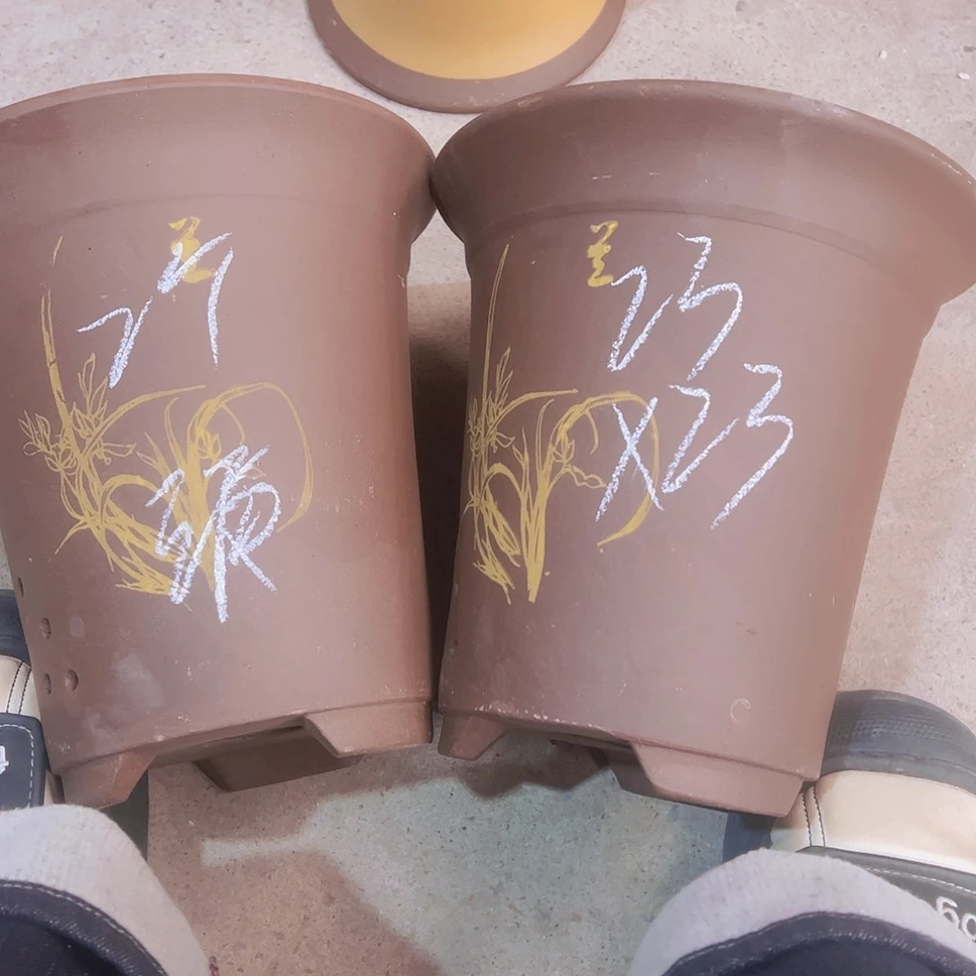 紫砂38………………………………