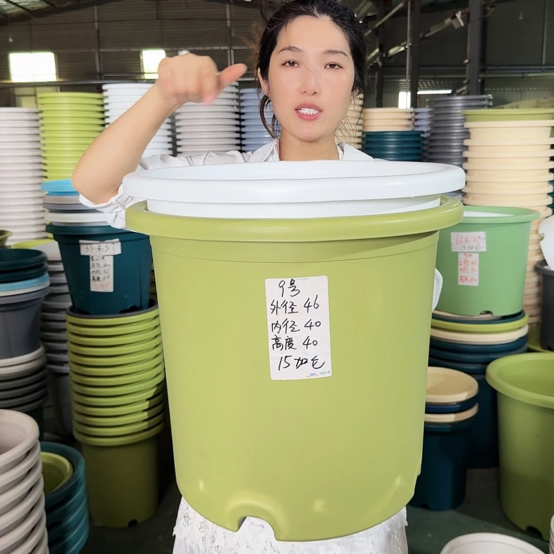 微瑕9#口径46无拖果绿3个