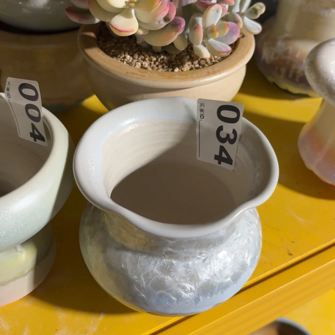 景德镇多肉花盆034随机