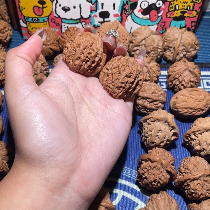 35平谷楼105 1111111