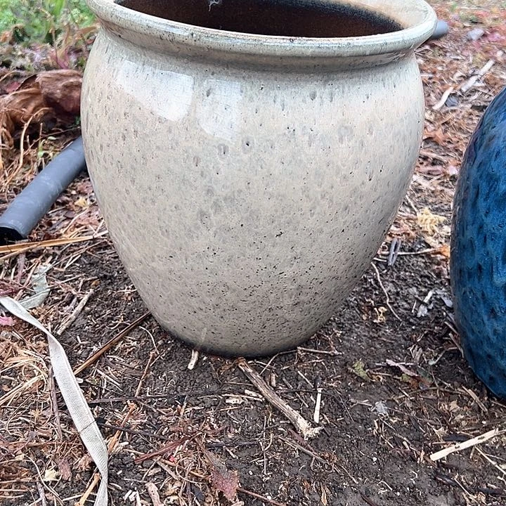 红陶口26高30。。。。。