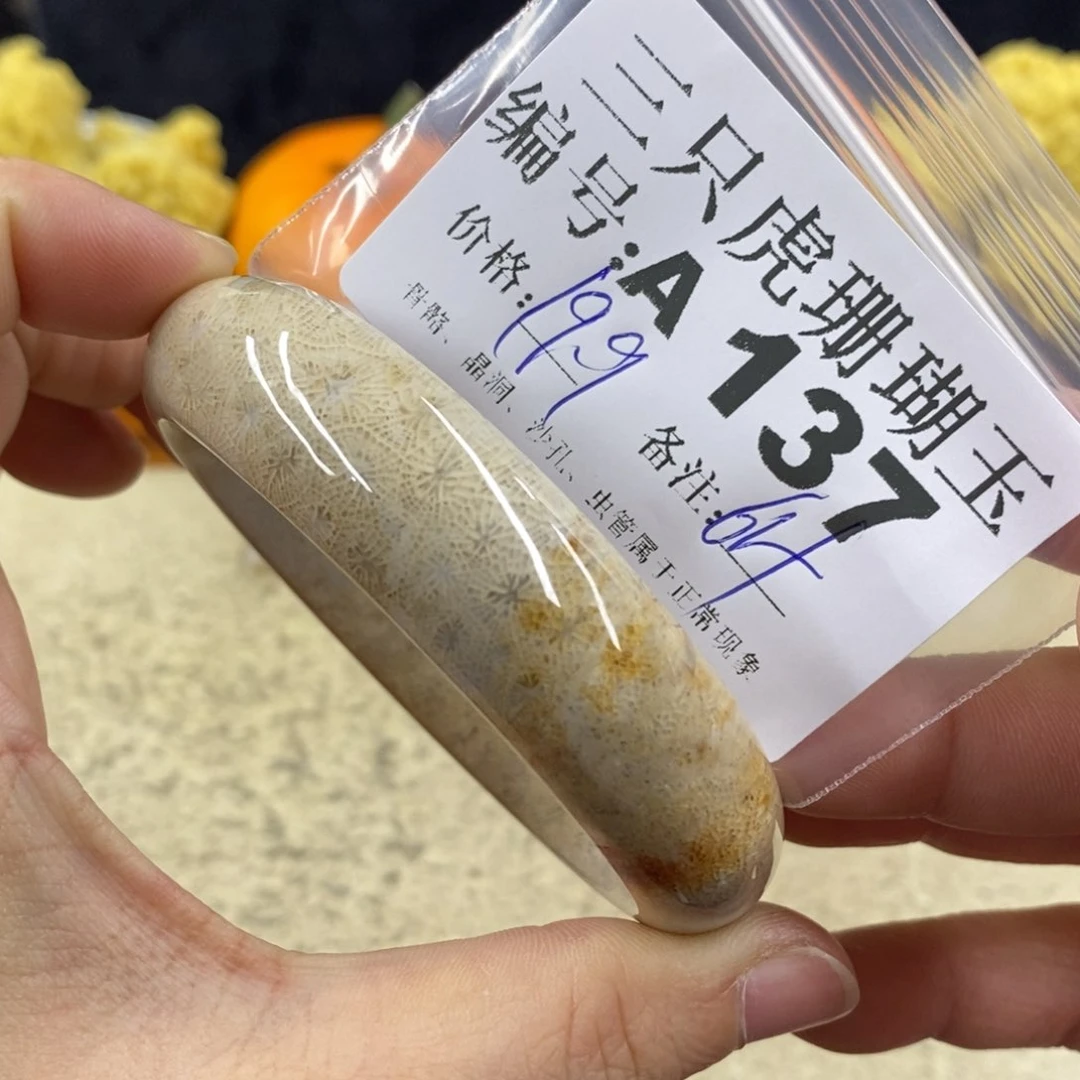 硅化珊瑚（珊瑚玉）1未镶嵌慧