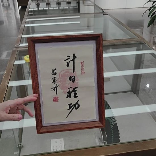 书法苗 再新书法计日程功