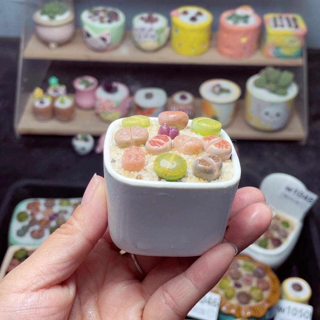 w1055 带盆土发货 -零下地区拍保温箱