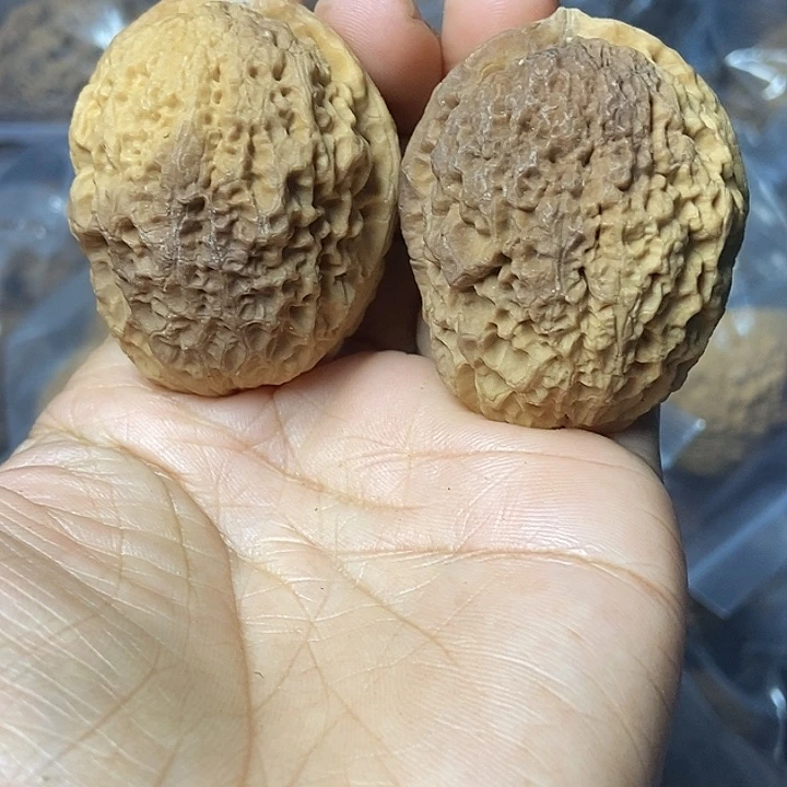 把件文玩核桃云南铁核桃基地11