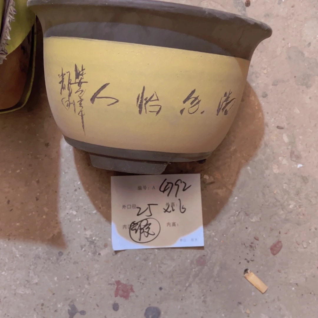 紫砂花盆紫紫砂盆