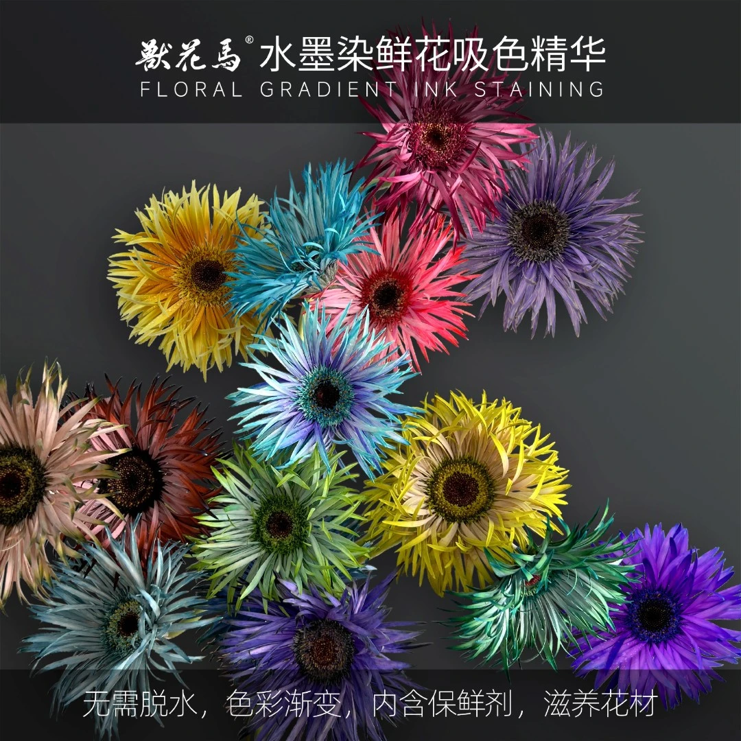 兽花马【水墨染】鲜花吸色精华/鲜花吸色染色剂/渐变养护花材