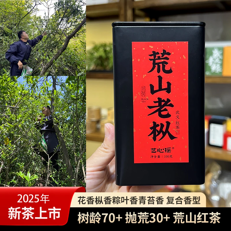 2025荒山老枞红茶 花香枞香粽叶香 有凉感 滑润甘甜 菜茶群体种