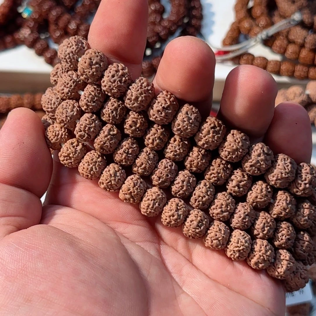 金刚菩提手串老树平细体验款