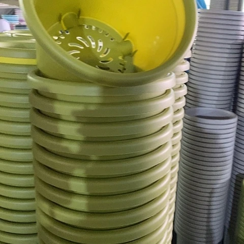 树脂四季3号果绿无托10个微瑕