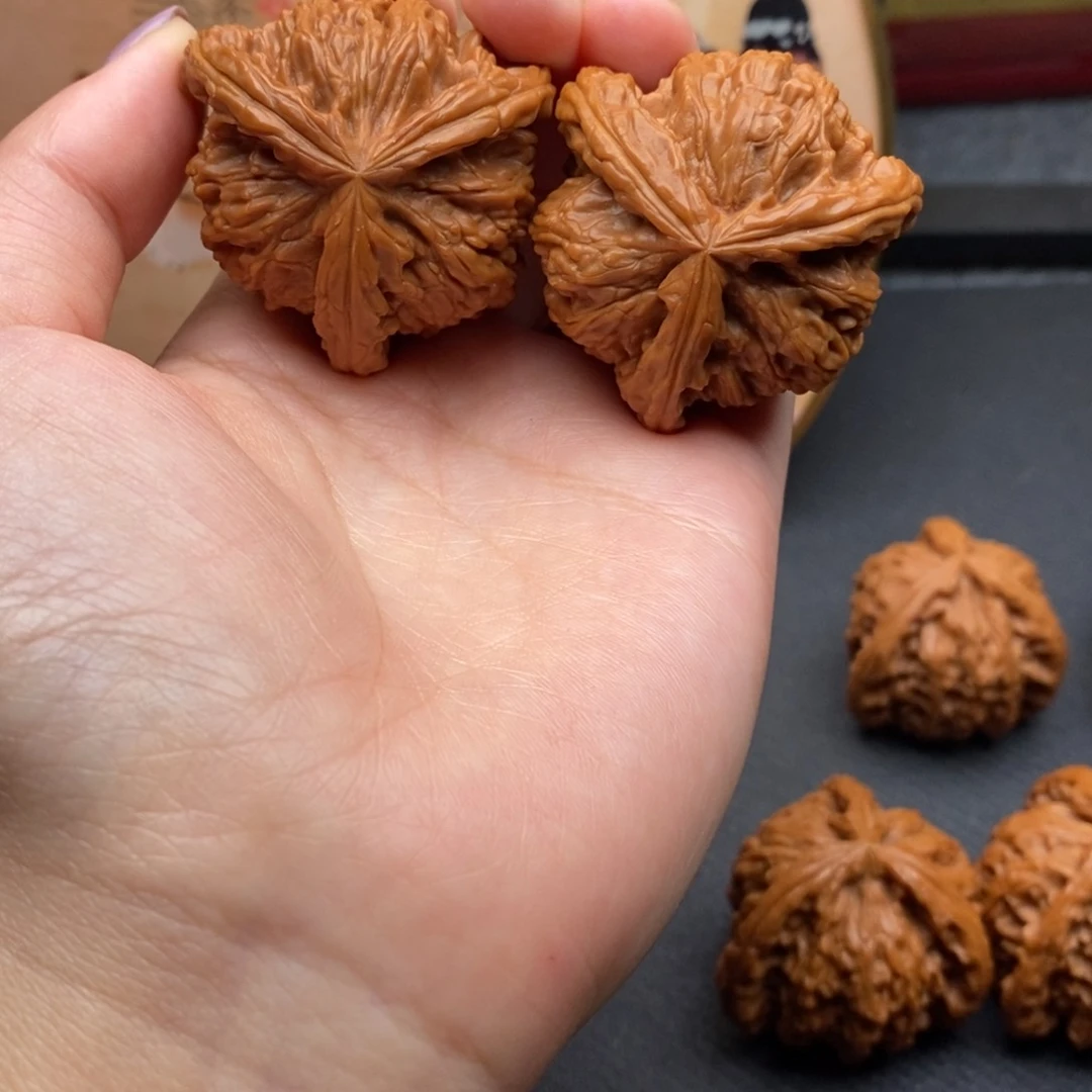 随***风白狮子111111111111