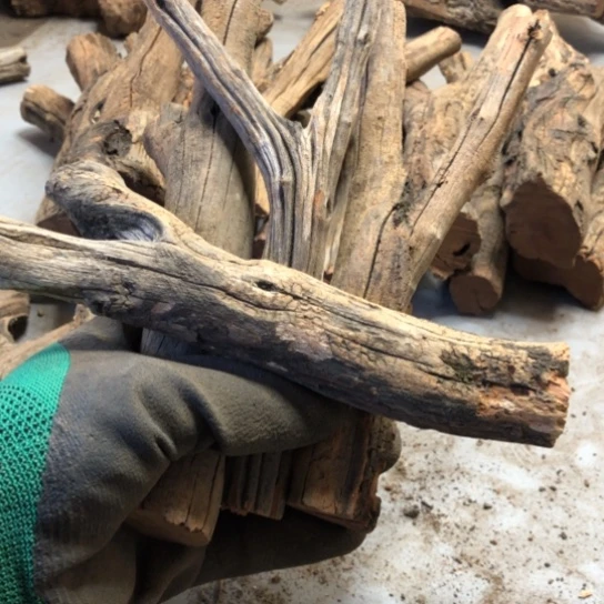 大果紫檀（缅甸花梨）小*