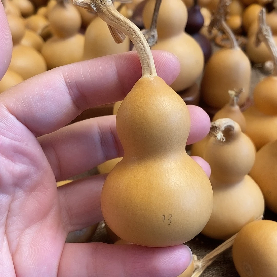 文玩葫芦 完美主义者 慎拍73