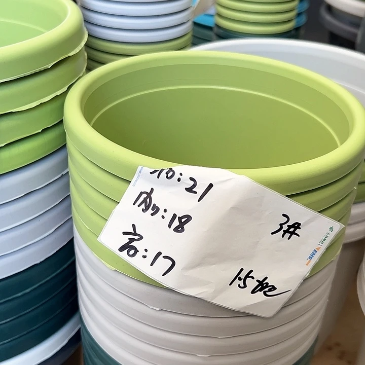 四季盆3#果绿色10个无托