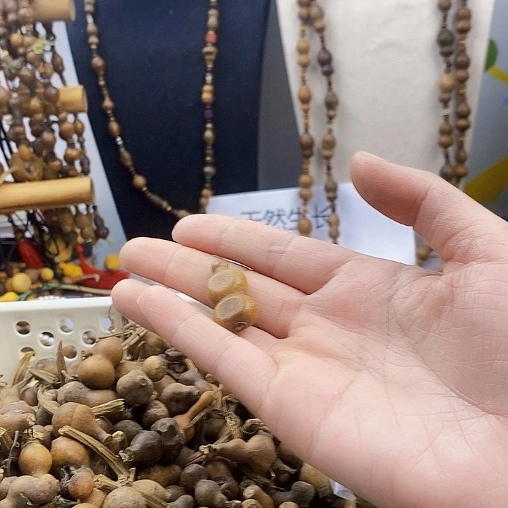 我**姐葫芦葫芦葫芦抽抽