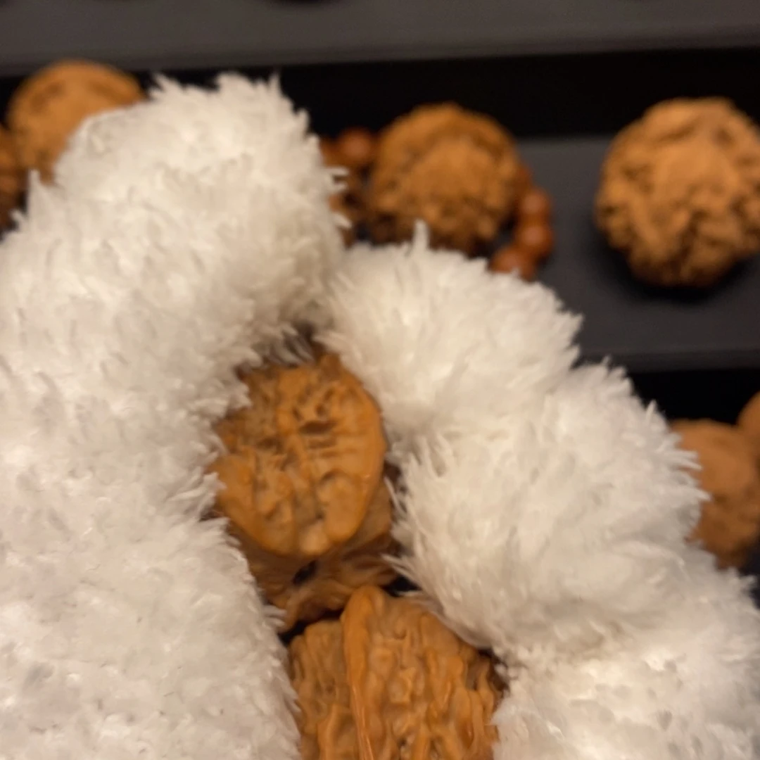 博***全秦岭森林茂密和植被稀疏